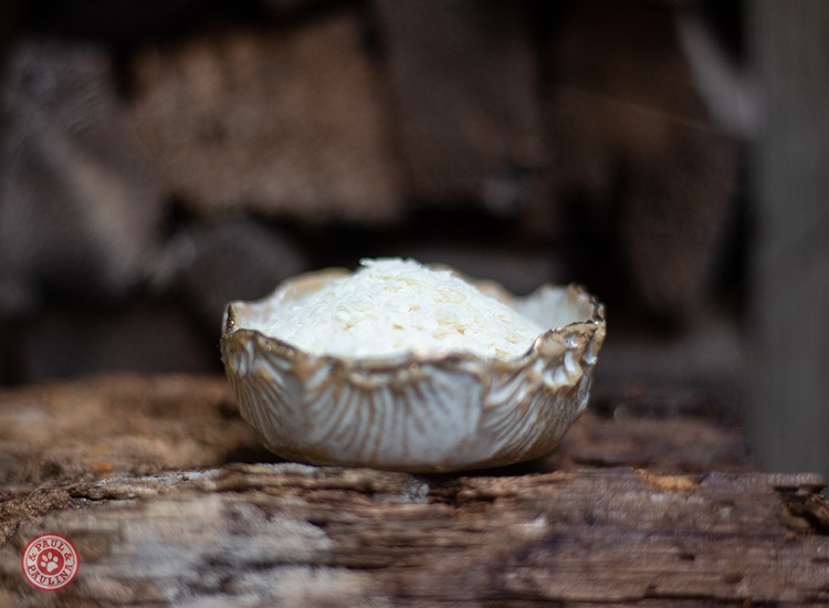 Kartoffelflocken getrocknet 1000g