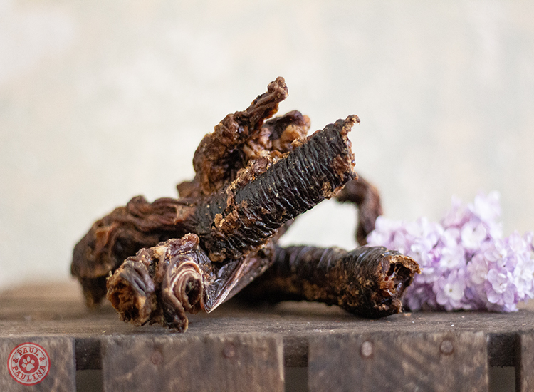 Schlundröhre luftgetrocknet**