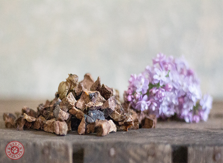 Kauartikel Mix: "Fit&Fun Snacks"**