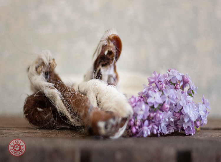 Rinderfellstreifen luftgetrocknet 300g