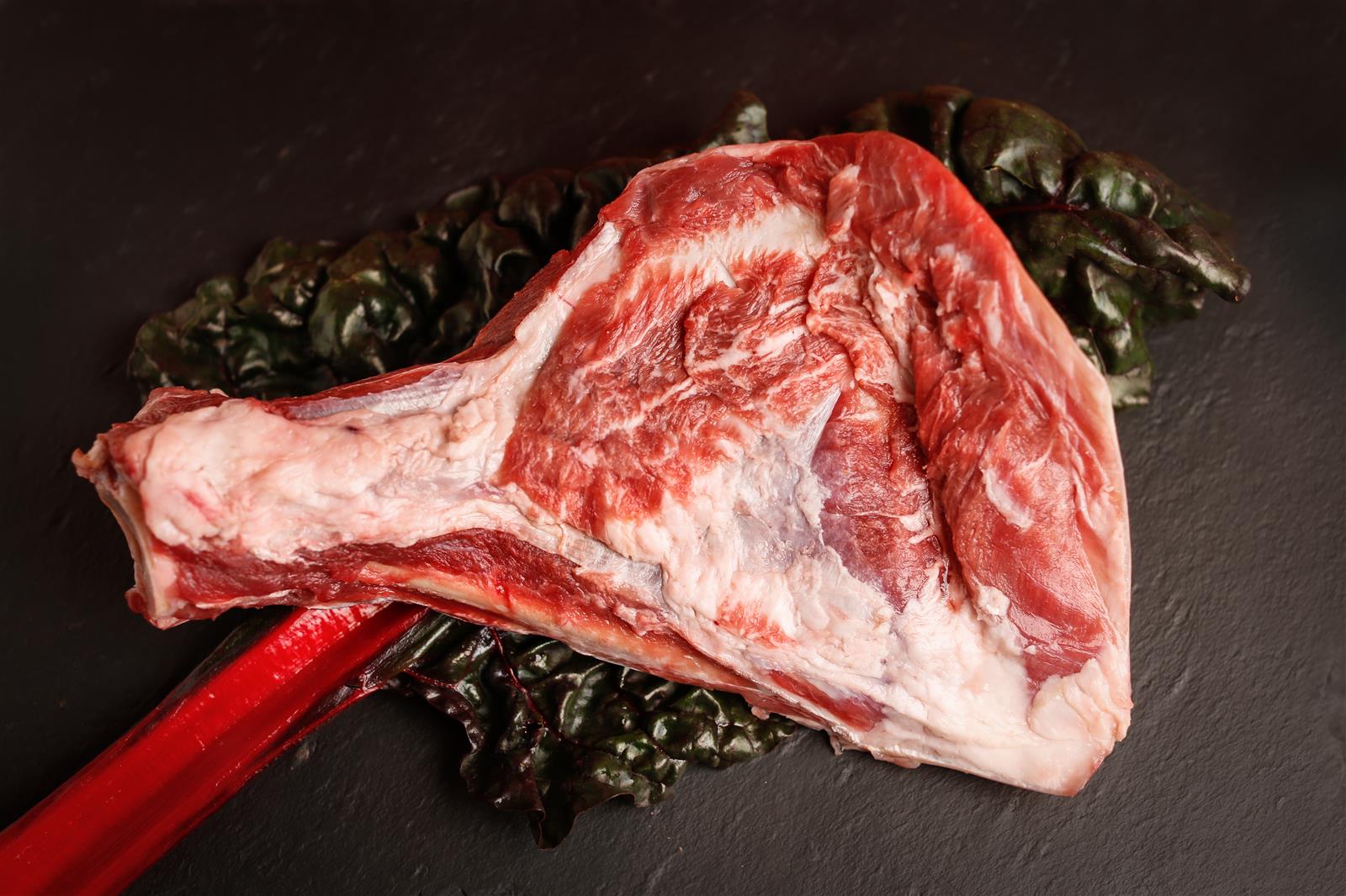 Fleischige Knochen und Knorpel