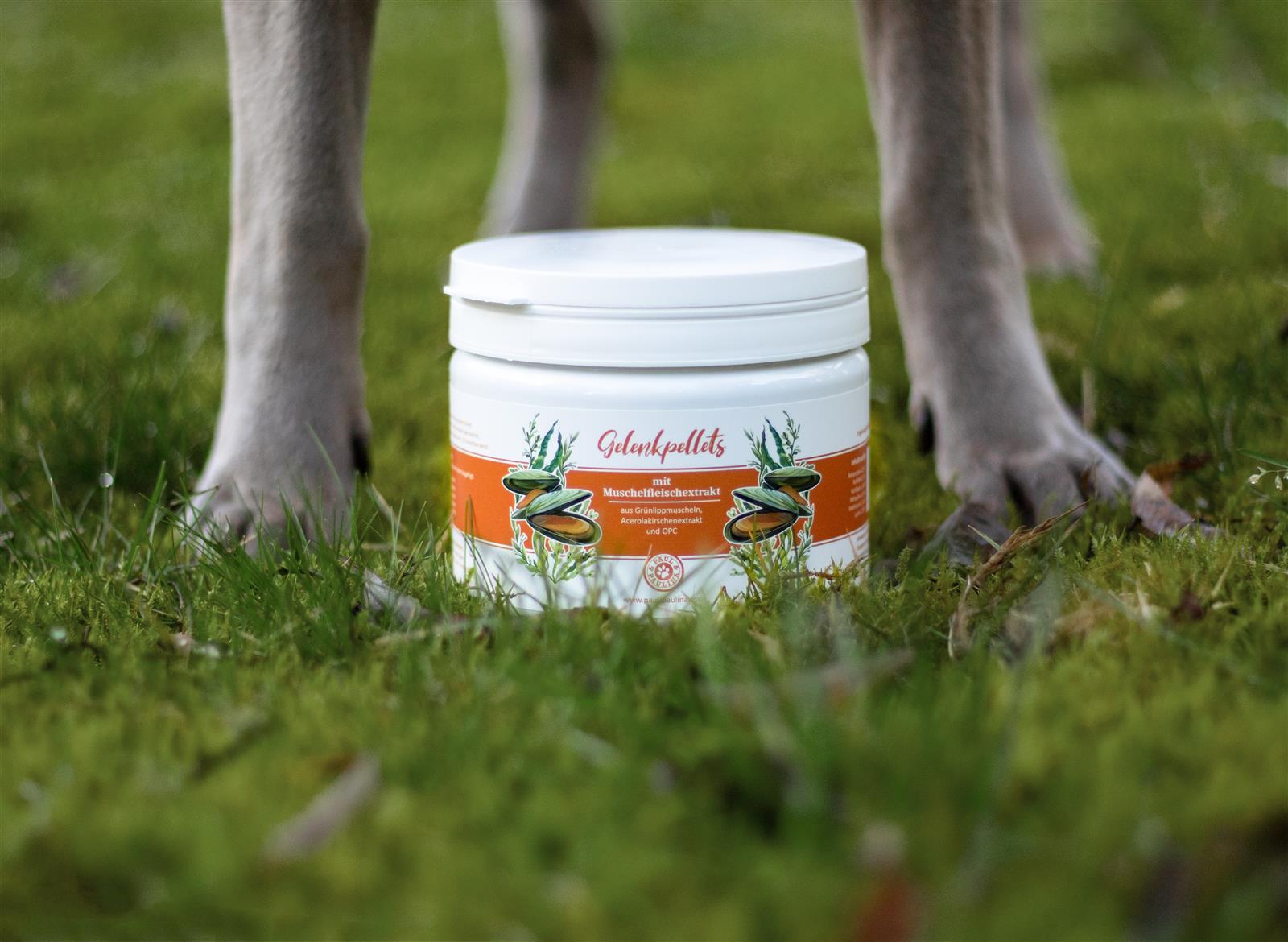 Gelenkpellets mit OPC