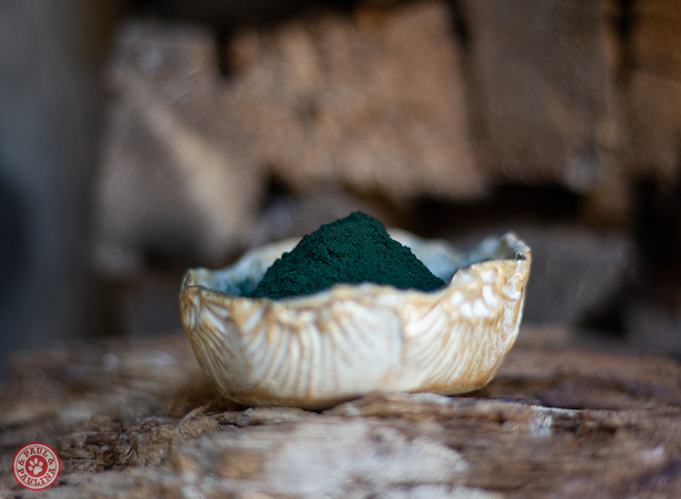 Spirulina platensis gemahlen