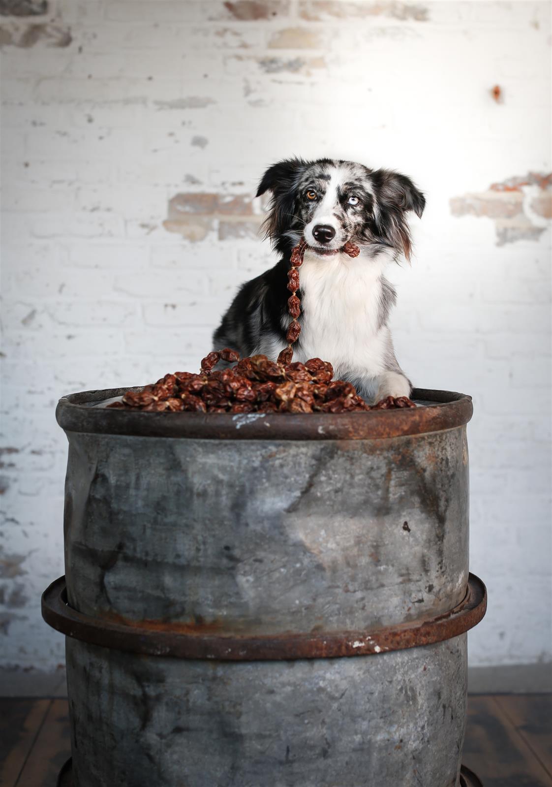 Lammwürstl neu mit Rose