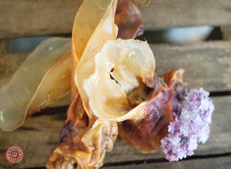 Rinderohren XXL luftgetrocknet** 5 Stück