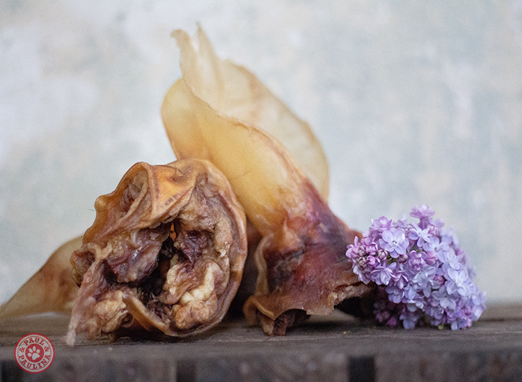 Rinderohren XXL luftgetrocknet** 5 Stück