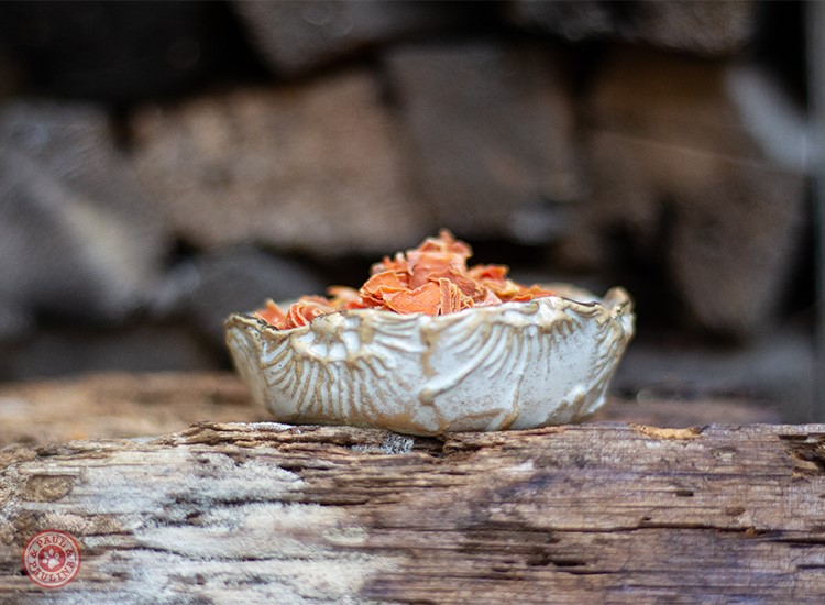 Karottenflocken getrocknet