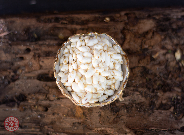 Reis gepoppt (glutenfrei)