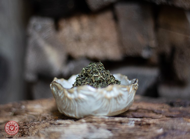 Brennnessel geschnitten