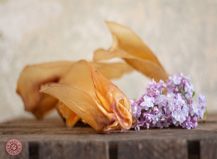Schweineohren luftgetrocknet** 20 Stück