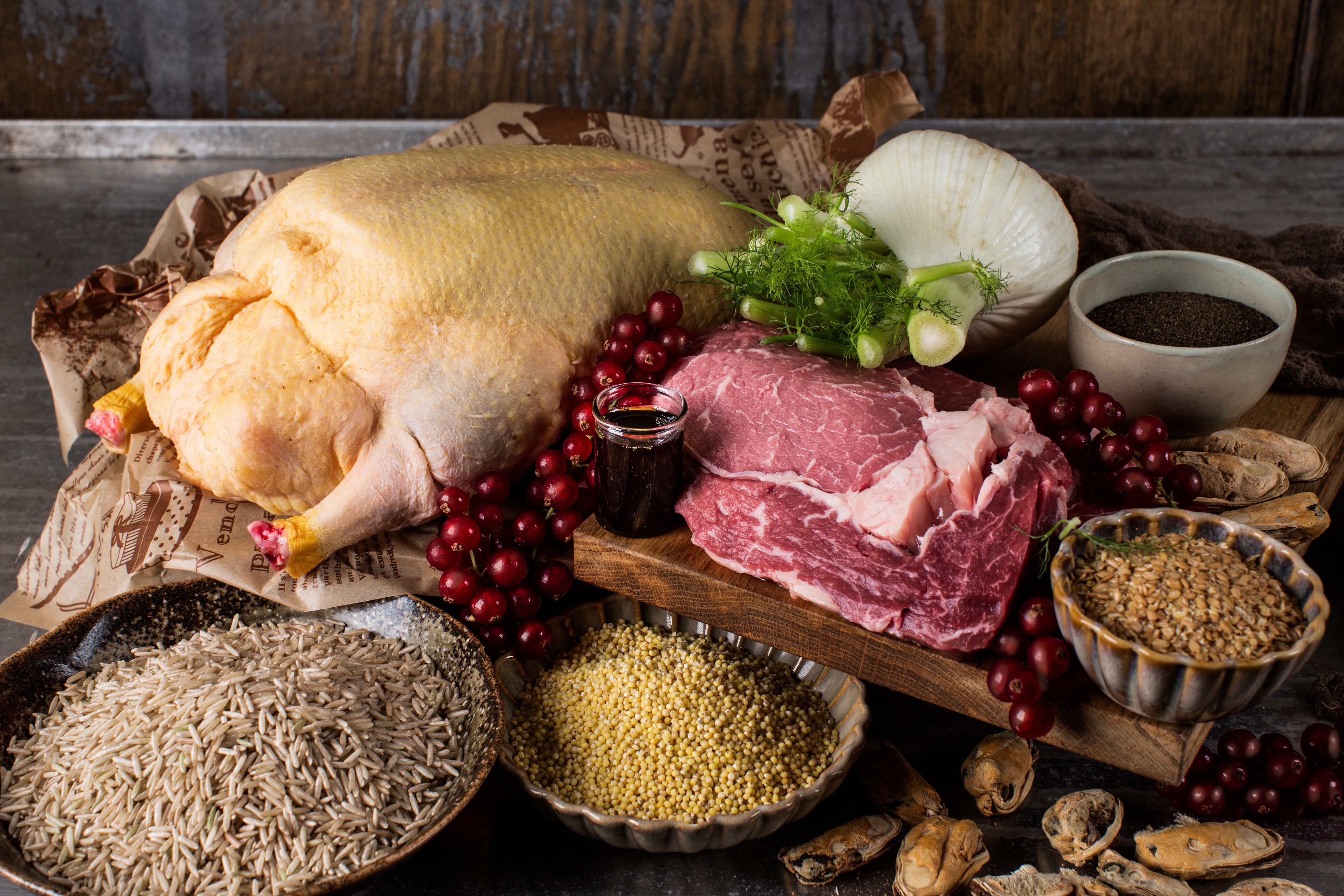 Trockenfutter Puppy mit Weiderind und Ente Probe