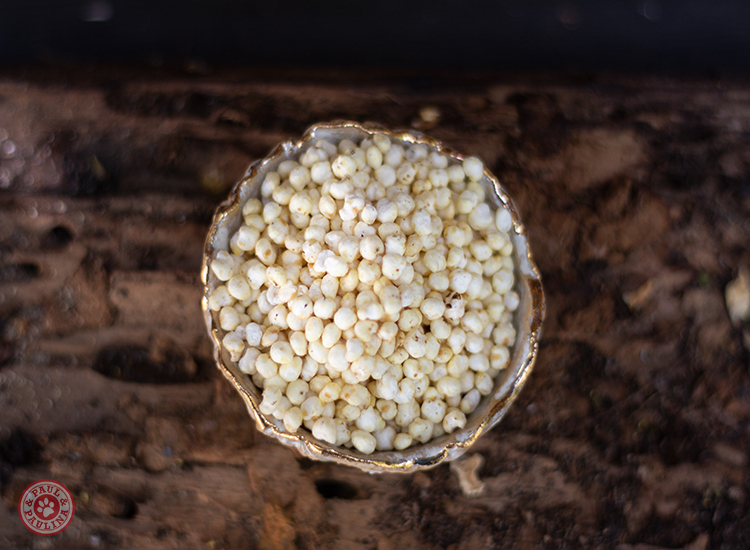 Hirse gepoppt glutenfrei