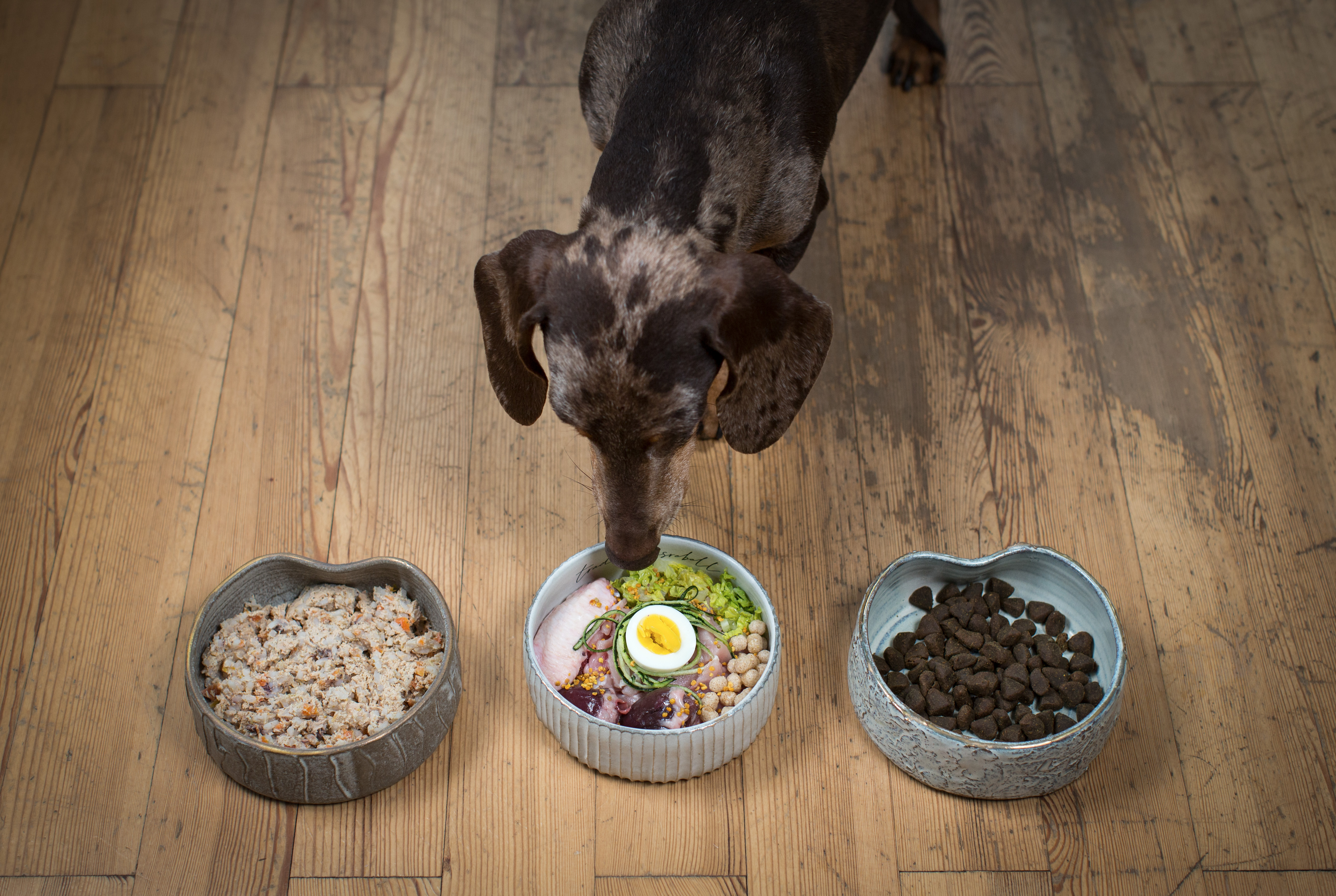 Snackbruch (Würstl, Grissini etc) Kaninchen