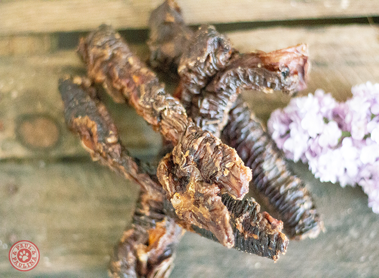 Schlundröhre luftgetrocknet**